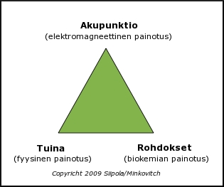 kiinalaisen lketieteen toiminnallinen kokonaisuus